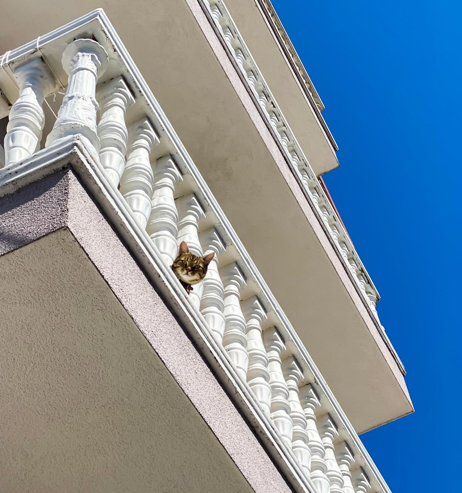 Northgate Apart-Villa Shkodër Exteriör bild